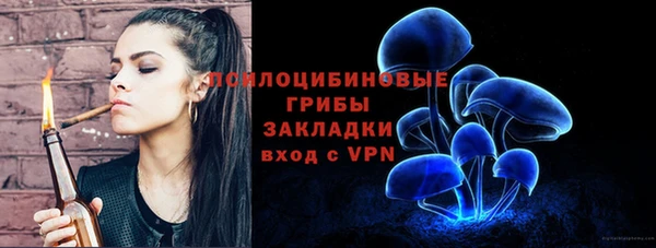 индика Семёнов