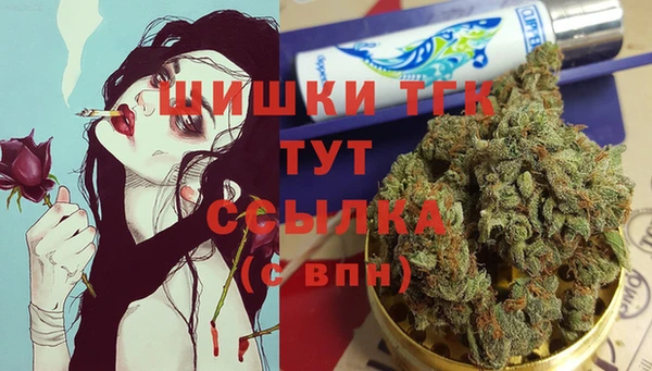 индика Семёнов