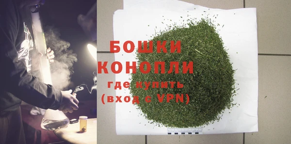 сатива Семикаракорск