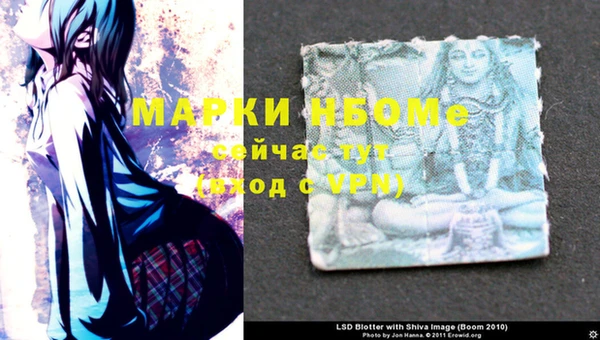 индика Семёнов