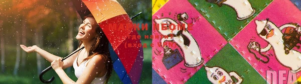 индика Семёнов