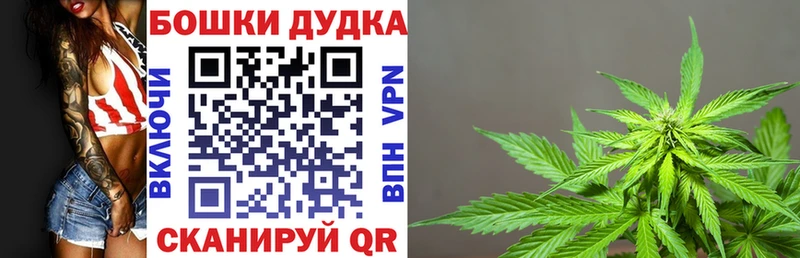 Купить где  Пойковский  Канабис план 